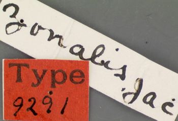 Media type: image; Entomology 9291   Aspect: labels